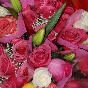 Meet your Posher, Abreu